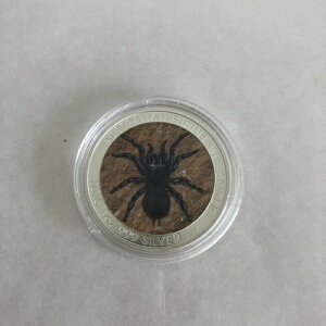 2015NI[XgA t@lEFuXpC_[ Vo[ 1IX 1hRC JvZ