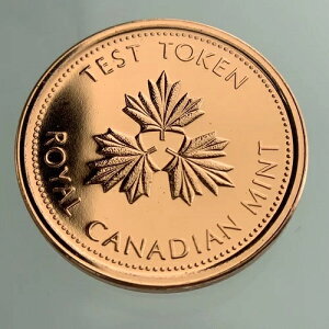 ���C�����J�i�f�B�A���~���g �e�X�g�g�[�N�� �J�i�_ 1�Z���g�y�j�[ AA473