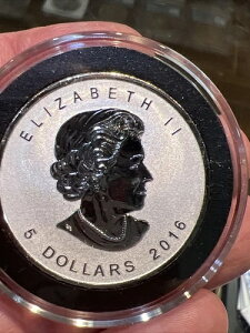 2016NJi_ o[Xv[t Vo[ [v[t ꎟE  }[NV