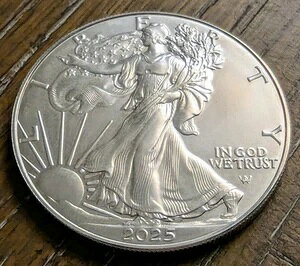 2025N 1h AJ Vo[ C[O 1IX uAg AT[L[gB^CvIIB