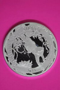 Gem BU 2023 oohX L[ 1IX Vo[RC .999  $1.00 ʐ^38ƓRC