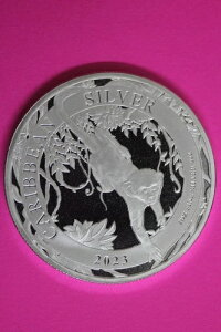 Gem BU 2023 oohX L[ 1IX Vo[RC .999  $1.00 ʐ^26ƓRC