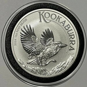 2024N I[XgAY CJZ~ RN^[RC 1gCIX .9999 t@CVo[ Eh