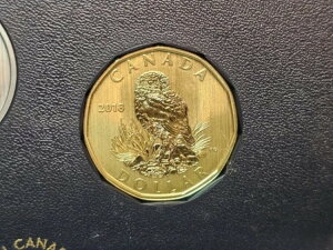 2018NJi_ XyV [j[ -  1h XyVZbg - BURROWING OWL