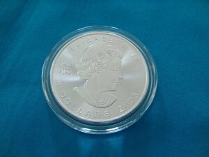 2023�N�J�i�_�V���o�[���[�v�����[�t1�g���C�I���X5�h���R�C��.9999�t�@�C��BU DF $---$