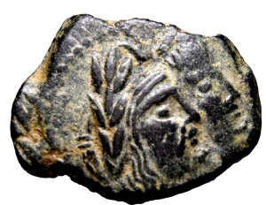 ioeAB}RX2ƃVJC[g2BI 40 ` 70 NB ?.yg~g MVRC