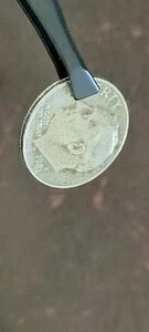 �G���[�R�C�� �_�C�� 1981 D ���[�Y�x���g �N�����V�F���G�b�W * ��