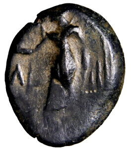 ɒ\̃ioeÃAhXŃtFjLA