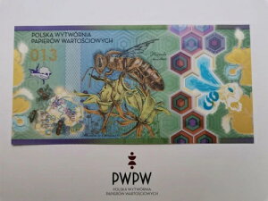 �e�X�g�m�[�g PWPW �|�[�����h 013 ���A BEE POLYMER ���� JK Amazing Number LAST