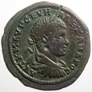 Ɋ!!! [}BZEFXEANT_[ 5ex (RARNV1)