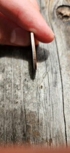 󏭂ȃX[UEBEA\j[1979N~g}[NG[i_uXgCNSj/FG}[N