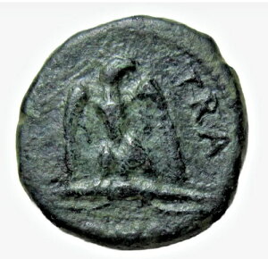 gA 98 ` 117 NBuYNAhBsmȃ~gBC[O/RkRsABAB