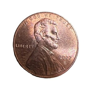 2022-D �����J�[���V�[���h �y�j�[ ���W���[�G���[ �_�u���_�C �\�� + ���� �V�[���h ���A