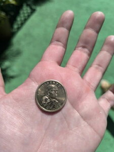 SACAGAWEA 1621 pmAO USA hRC - Ɋ