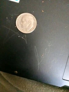 Ɋ󏭂1978N[Yxg_CA~g}[NG[Ȃ