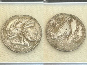 (12.03g)�Ñ�\�t�B�e�X AR �h���N�} �Y�{�^�̎Ⴂ�ё��� ���Ɋ� #P58