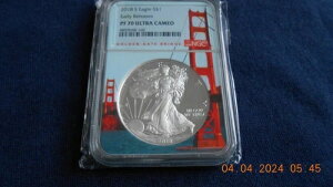 2018 Sv[t Vo[C[O NGC PF70 EgJI A[[[X ubWRAuNICEv