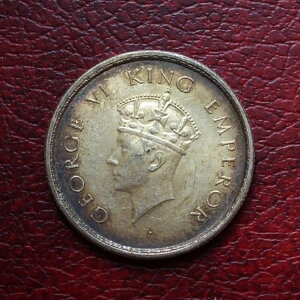 �C���h KM550 1939b �n�[�t���s�[��� - ��