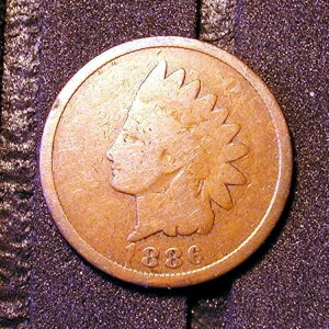 1886NCfBAwbhZgOBV - Ȃ - 炭B̂