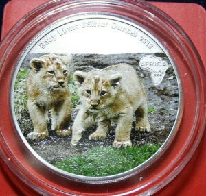 �R���S 2000 �t���� 2013 �u�x�r�[���C�I���v F#3179 �J���[ 3 �I���X COA 200 ���̂�