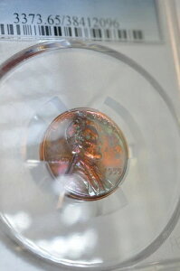 PR65RB 1955N bhuE J[ EB[gyj[ PCGS v[t 󏭃RC i`g[