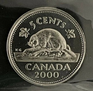 *��* ������ ���Ӓ� 2000�y���X �J�i�_ 5�Z���g �j�b�P��