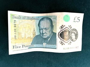 �󏭂�5�|���h���� �_�M�[�E�|�C���^�[�i�}�N�t���C�j1987�N11��30�����܂� �V���A��30/11/87