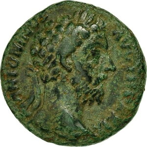 �R�C���A�}���N�X�E�A�E�����E�X�A�G�[�X�A175-176�A���[�}�A�󏭁AVF�A���ARIC:1145-