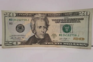 ꂽq 20h M B 34162758 t@V[VAio[ ʊ