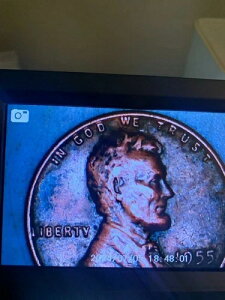  - 1955 D - G[ - oeB̃EB[gyj[uLvsǑō