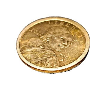  Ȃ 2000 D TJKEBA 1h čoeBS[hJ[RC