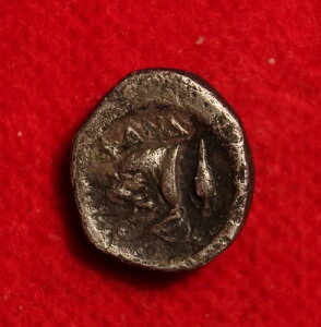 t@iSAi^}jBARfBI{BIO393-389NBɊ