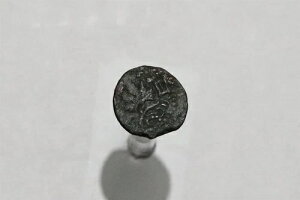 ??  [}ɑ΂ŏ̃_l̔ 66`73N - uY v^E}T_ #8154