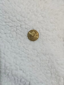 2020�N�I�[�X�g�����A���P�c�̃O���[��1�h���d�݊�t�BJC�̃C�j�V��������B�󏭕i