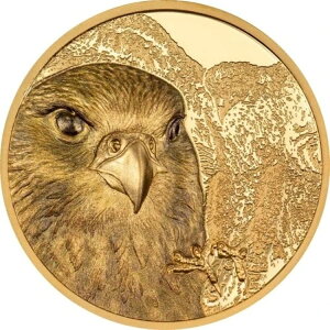 S 2023 25000 gOO SA t@R 1IX 