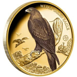 1IX 100h jEG I[XgA̒ - IWV 2025N v[t -