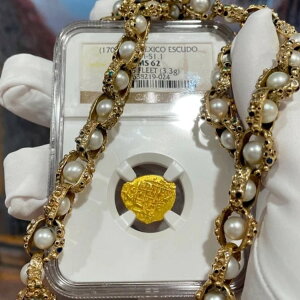 LVR 1 GXN[h 1707-13 NGC 62 u1715N͑jDv  C