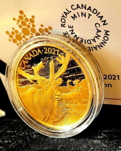 2021NJi_ 35O .99999  - Ji_̖쐶̏ёFJu[