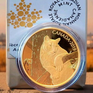 2019N 350h Ji_쐶ёFN[K[ - 99.999%