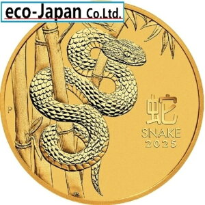 I[XgA 2025N 3x ݁E݃V[Y N 100h