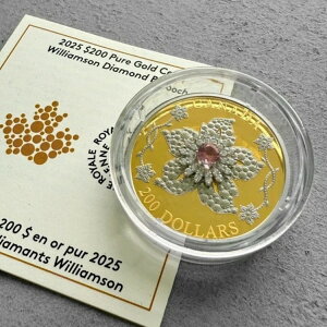 2025NJi_h 250h EBA\ _Ch u[` ? sNg}菃