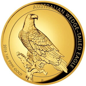 2016N 1IX 100h I[XgA  EFbWe[C[O - v[t -