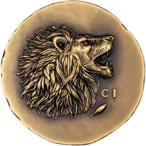 1IX 250h NbN I 2025 AeB[Ndグ