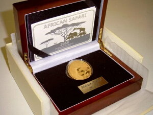 1IX 5000t `h AtJTt@ - L[ 2019 v[tؖA