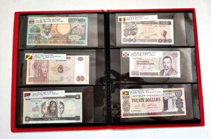 100��ނ̊O������ 50�J���̎��� �A���o���R���N�V�����t�� A