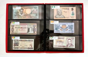 100ނ̊O 50J̎ AoRNVBt