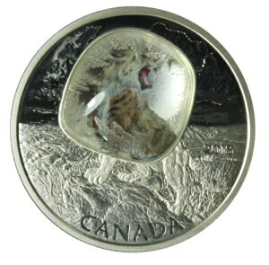 �J�i�_ RCM 2018 20�h�� ����� - �X�ɓ������T�[�x���^�C�K�[