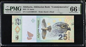 �A�u�n�W�A 25 �A�v�T�[ 2023 �L�O�z�[�N �W�F�� UNC PMG 66 EPQ