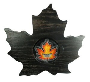 Ji_ 2016N 20h  Ji_̃Jtȃ[v[t