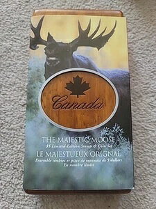 2004N 5h Ji_̖쐶FYȃwWJ 99.99h ݕƐ؎Zbg